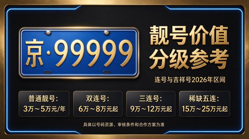 2026年北京车指标市场现状分析图